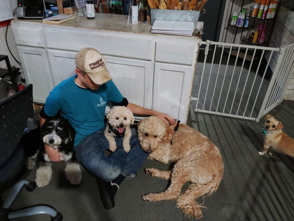 A worker at Hair of the Dog, dog daycare Lake Tahoe, taking excellent care of dogs